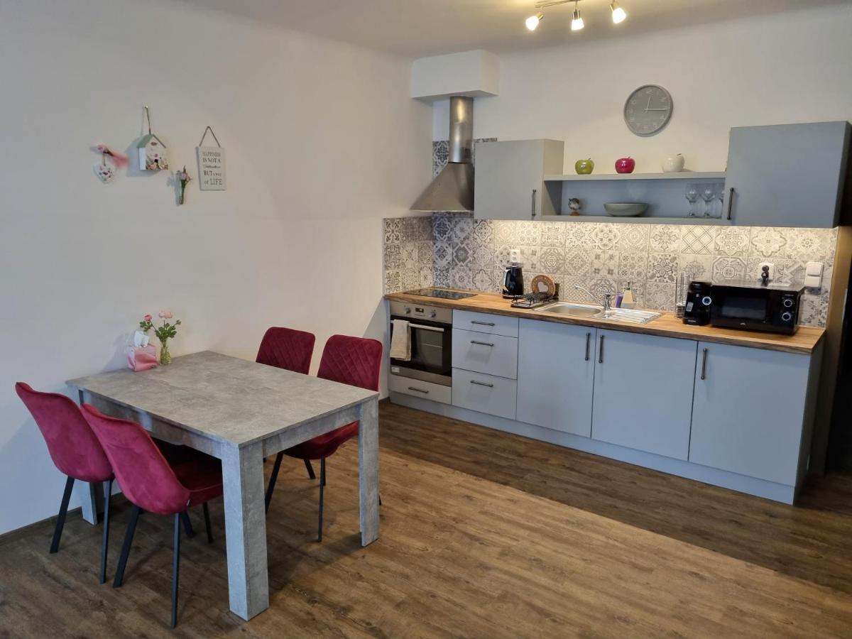 Velke Studio Na Velkem Namesti S Vybavenou Kuchyni Hradec Králové Exterior foto